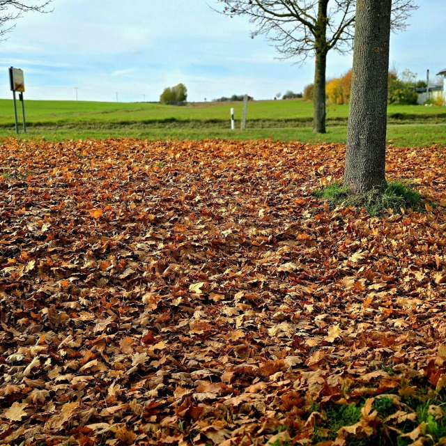 Jesen. Wettervorhersagen mit schönen Fotos von Hela Fotos Bayern