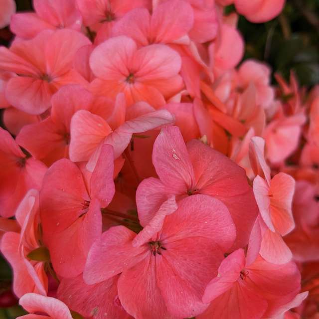 Fotos Escrivaninha. Previsões do tempo com lindas fotos de あさのジジ em Okayama