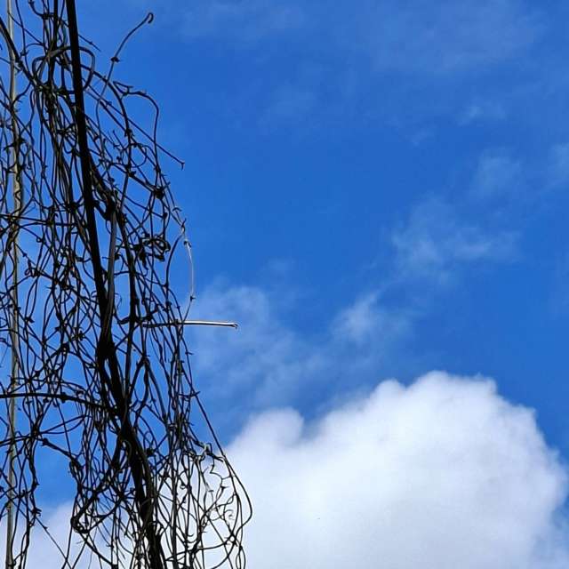 Fotos Colina. Previsões do tempo com lindas fotos de Wen-ya Huang em Kaohsiung City