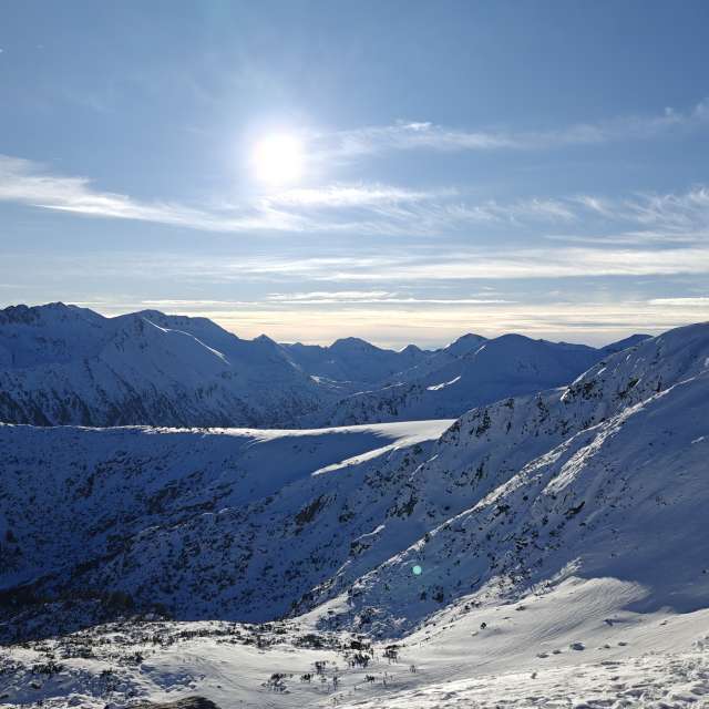 天气预报，带Rosiii精美的照片