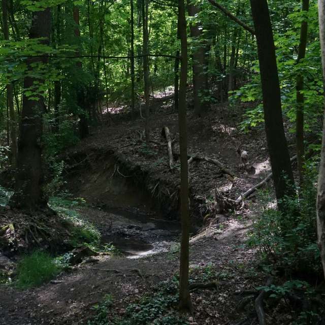 Fotos Caminho. Previsões do tempo com lindas fotos de Vasek325 em Praha 4