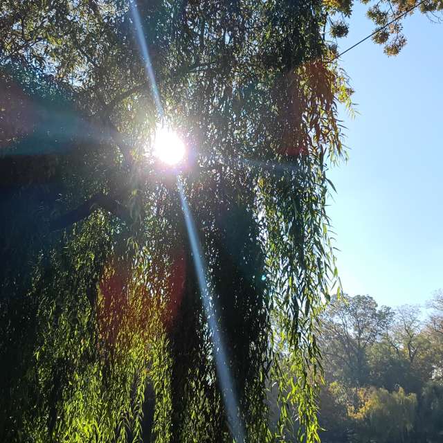 Fotos del Lado. Pronósticos del tiempo con hermosas fotos de YanBog en București