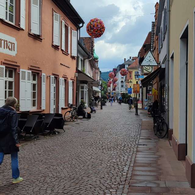 Walking path. Weather forecasts with beautiful photos by Tercis Photos in Ettlingen