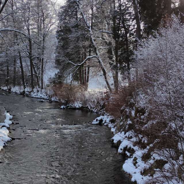Bereich. Wettervorhersagen mit schönen Fotos von Kripo Fotos Ladek Zdroj