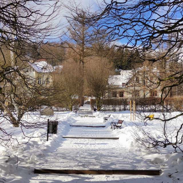 Zaun. Wettervorhersagen mit schönen Fotos von Kripo Fotos Ladek Zdroj