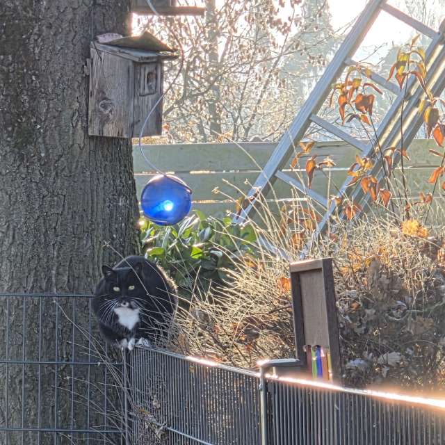 天气预报，带Brtd精美的照片