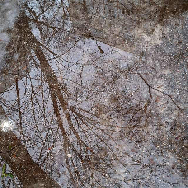 Weather forecasts with beautiful photos by Iryna