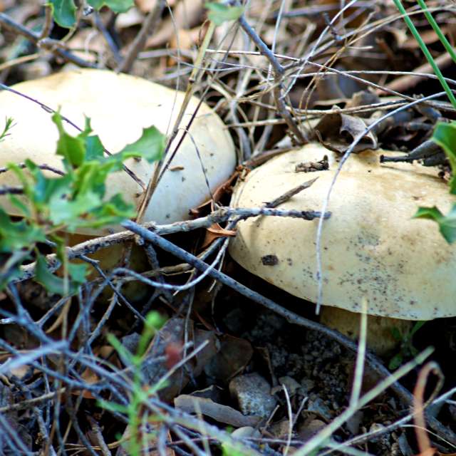 Wire. Weather forecasts with beautiful photos by tony5636 Photos in Calvisson