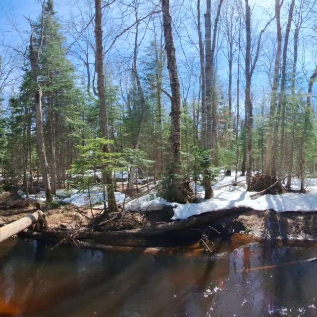 Weather forecasts with beautiful photos by NorthernMichiganBeauty