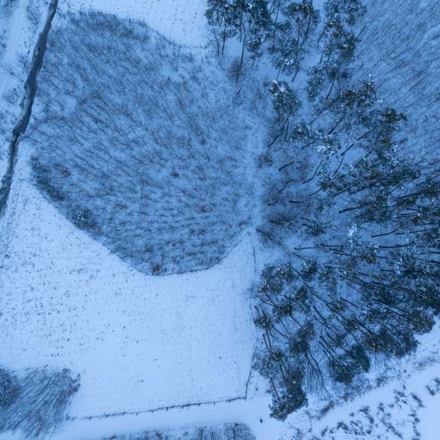 Previsões do tempo com lindas fotos de ooee