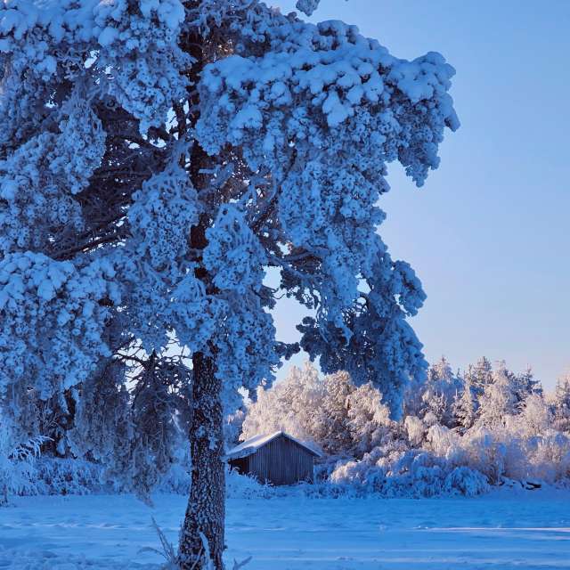Previsões do tempo com lindas fotos de Piia