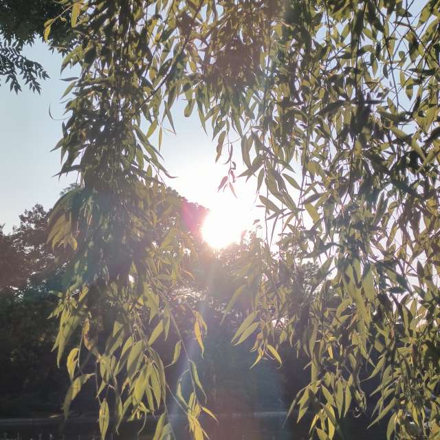 Fotos del Conduciendo. Pronósticos del tiempo con hermosas fotos de YanBog en București