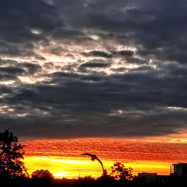 Background. Weather forecasts with beautiful photos by Wiesiek Photos in Gdansk
