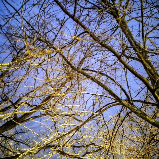 天气预报，带Gaucho精美的照片