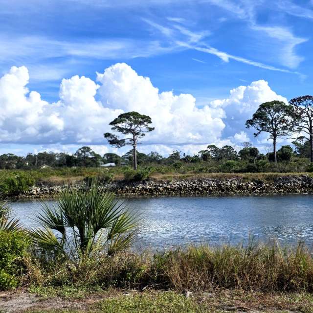 Прогнозы погоды с чудесными фотографиями, сделанными Tim_Welch