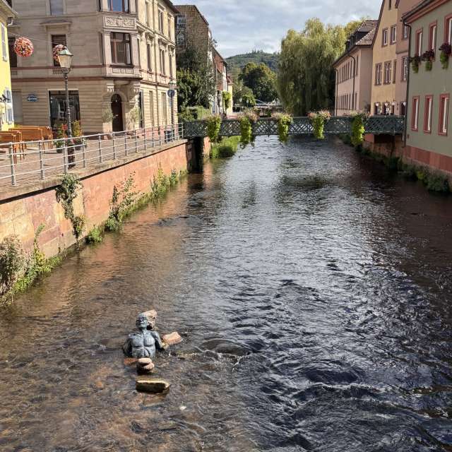 Weather forecasts with beautiful photos by DocHolliday987