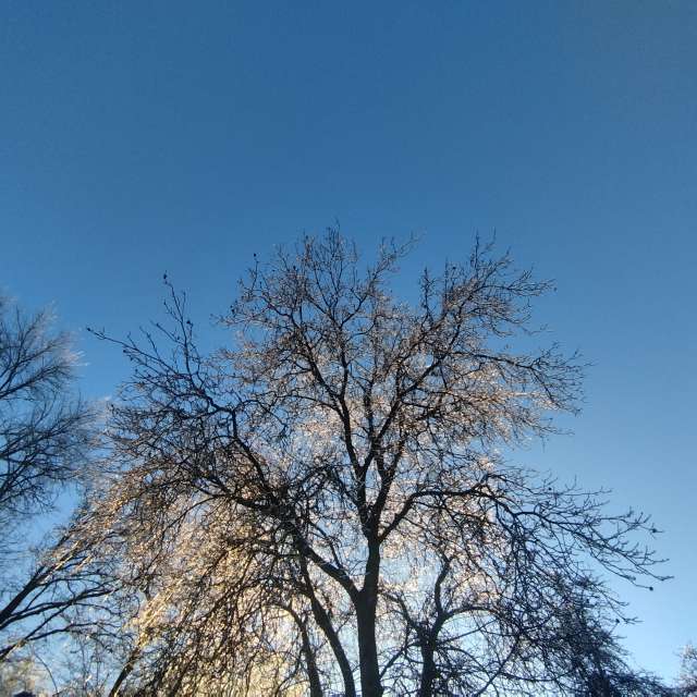 Weather forecasts with beautiful photos by mikhai