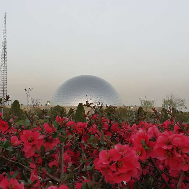 Fotos del Florero. Pronósticos del tiempo con hermosas fotos de outpost en تهرانسر