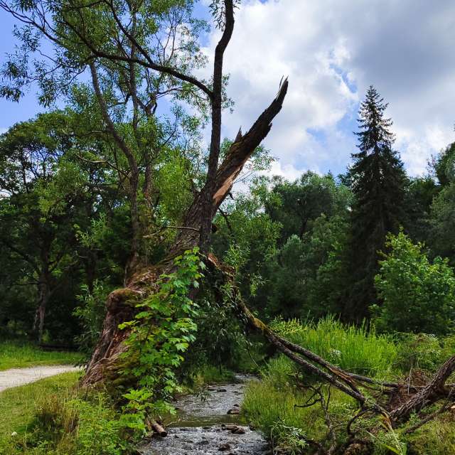 Weather forecasts with beautiful photos by Romek58