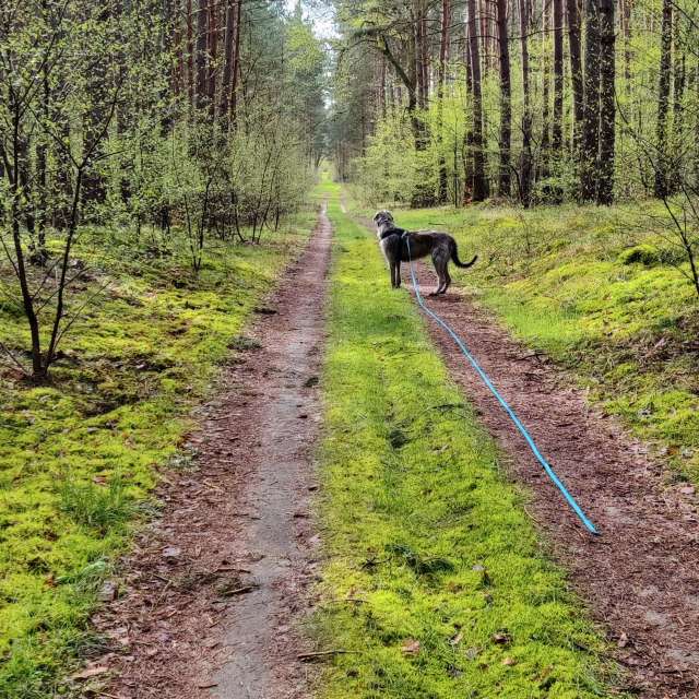 Прогнозы погоды с чудесными фотографиями, сделанными Karsten Wo