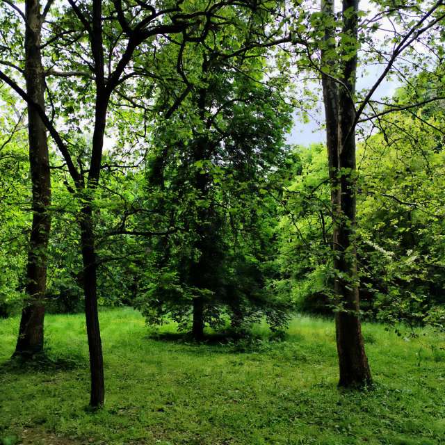 sloaraiの美しい写真による天気予報