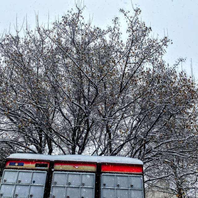 Going. Weather forecasts with beautiful photos by Lulu5523 Photos in le Plateau