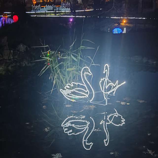 天气预报，带svanskay精美的照片