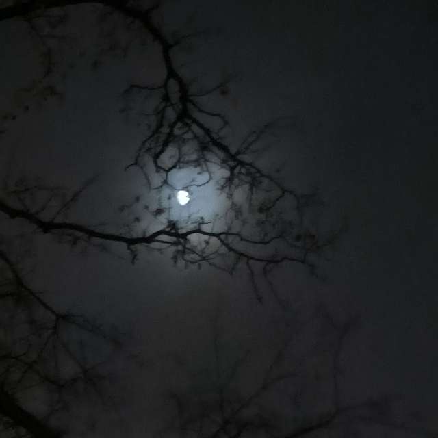 Fotos del Iluminado. Pronósticos del tiempo con hermosas fotos de YanBog en București