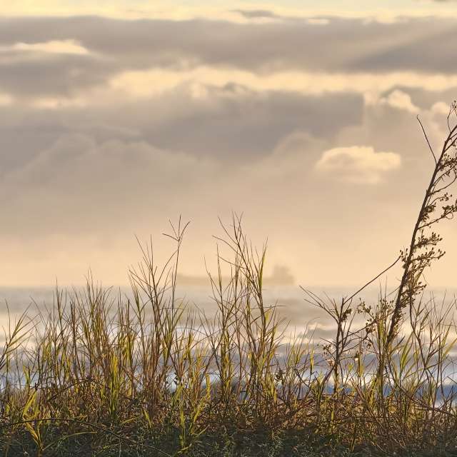 1Sep39の美しい写真による天気予報