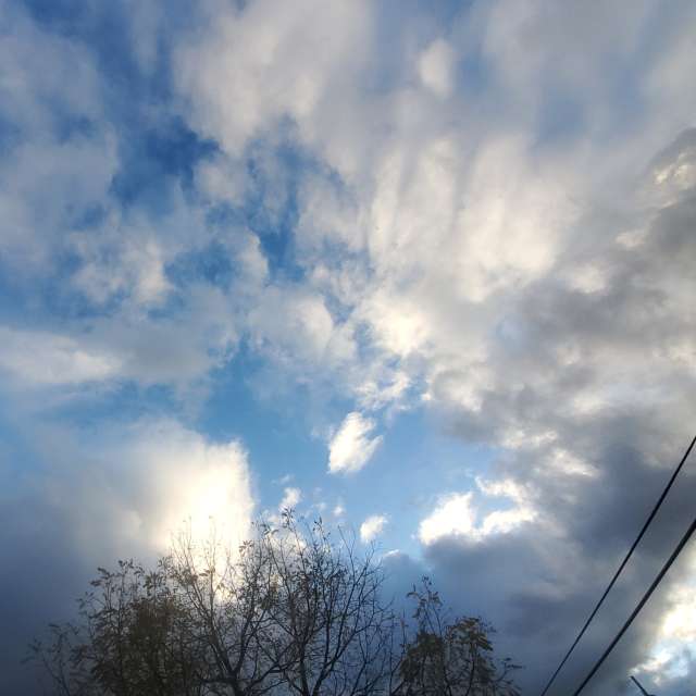 天气预报，带Zim Lotsa精美的照片