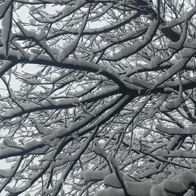 Fotos del Joven. Pronósticos del tiempo con hermosas fotos de YanBog en București