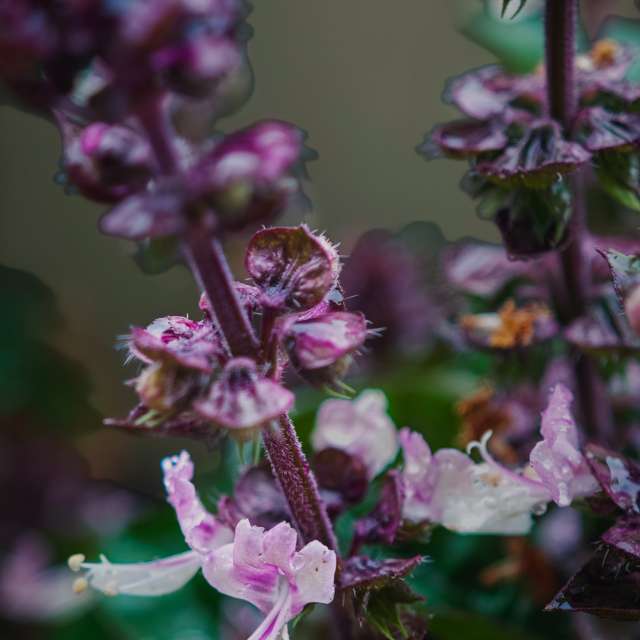 Прогнозы погоды с чудесными фотографиями, сделанными derlops