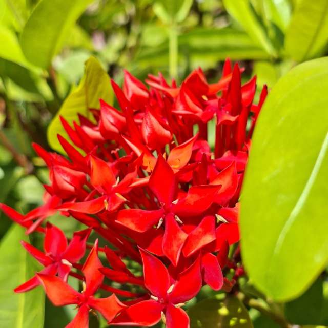 Fotos Fechar. Previsões do tempo com lindas fotos de Wen-ya Huang em Kaohsiung City