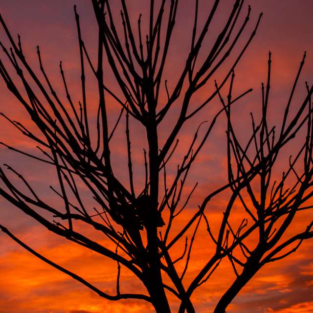 Weather forecasts with beautiful photos by RobertNagaj