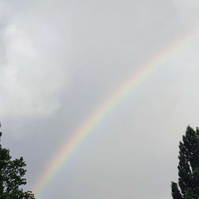 Rauch. Wettervorhersagen mit schönen Fotos von Kripo Fotos Niederösterreich