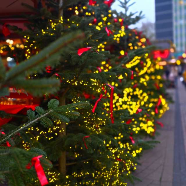 Seniの美しい写真による天気予報