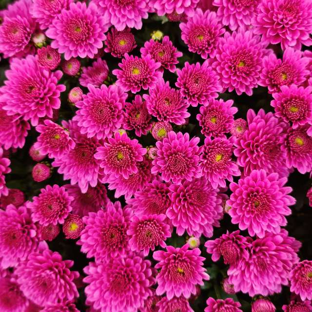 NASTIAの美しい写真による天気予報