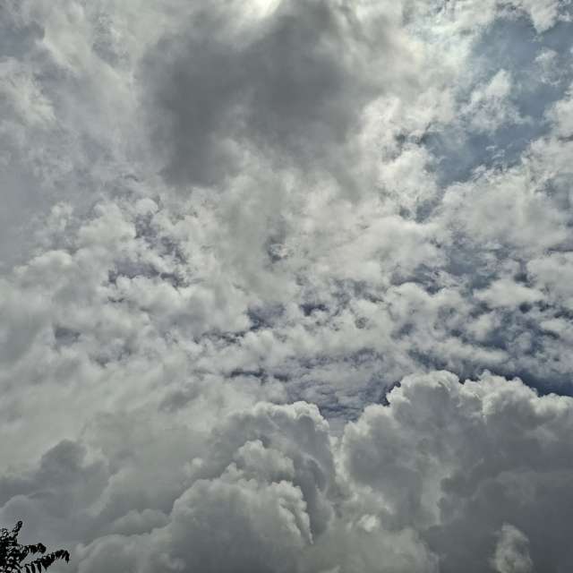 Photos Mouton. Prévisions météo avec de superbes photos de Wen-ya Huang de Kaohsiung