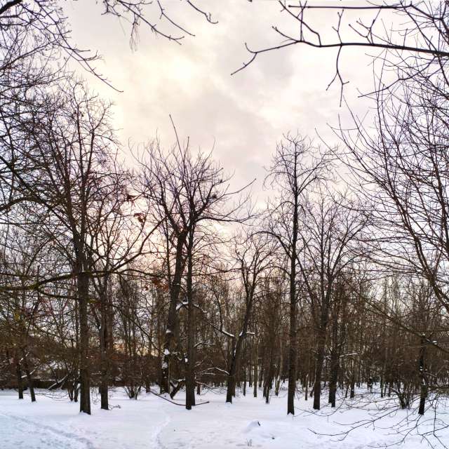 天气预报，带sloarai精美的照片