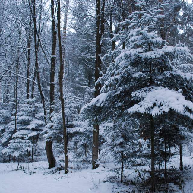 Weather forecasts with beautiful photos by Marcela Cervenakova