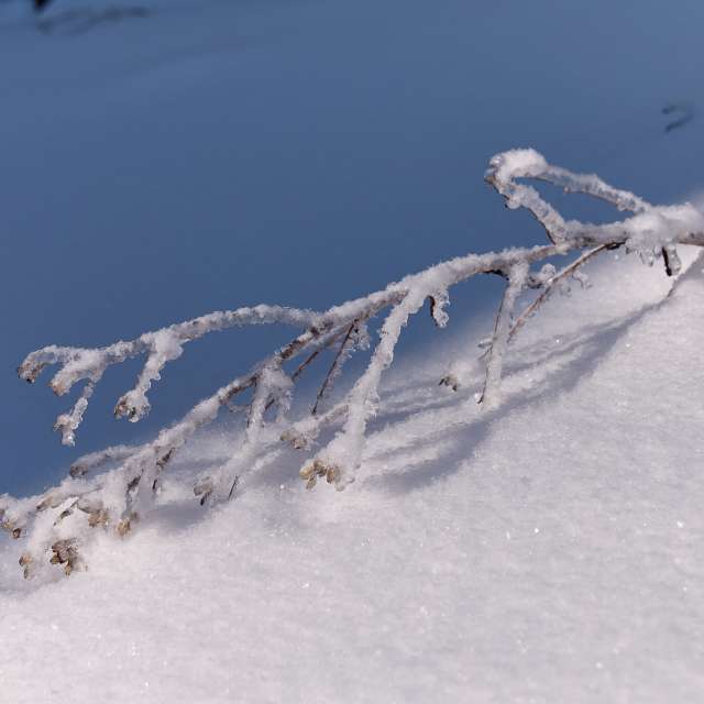 Прогнозы погоды с чудесными фотографиями, сделанными Aleh_Narushevich