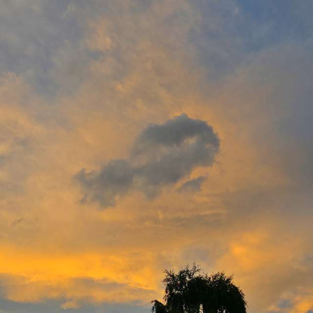Wettervorhersagen mit schönen Fotos von Seni