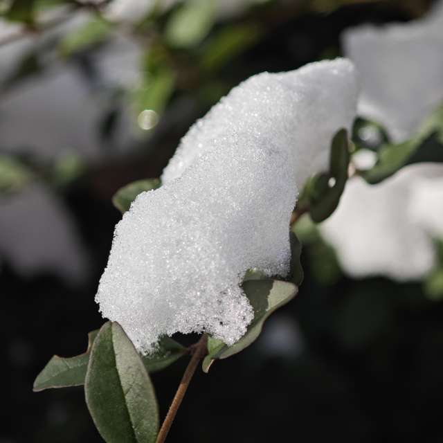 Pronósticos del tiempo con hermosas fotos de Fabri
