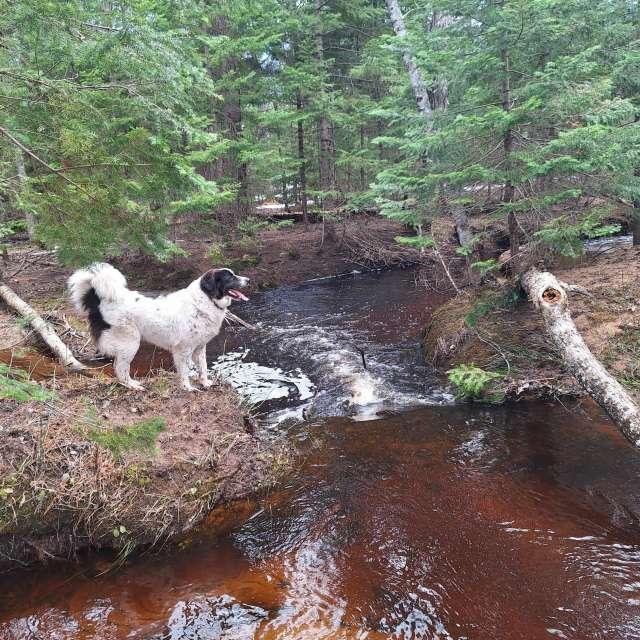 Weather forecasts with beautiful photos by NorthernMichiganBeauty