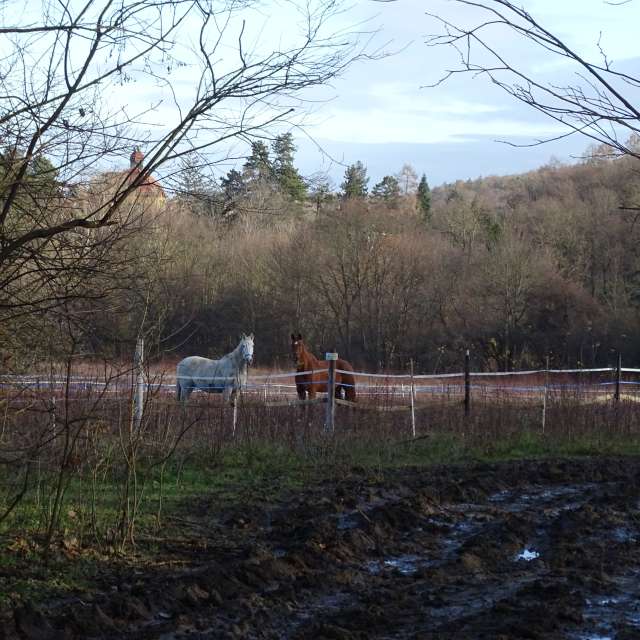 Fotos Grama. Previsões do tempo com lindas fotos de Vasek325 em Praha 4