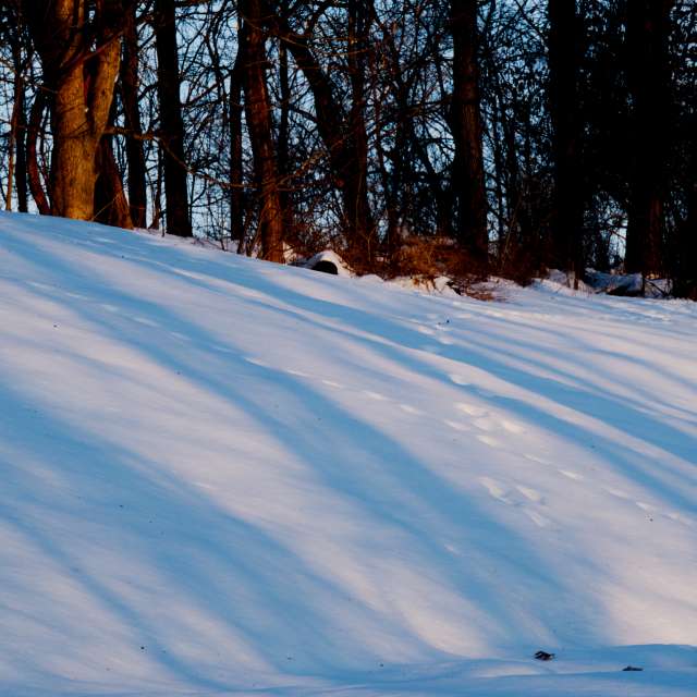 Dự báo thời tiết với những bức ảnh đẹp của krantzjh