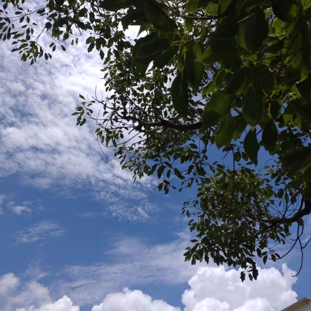 Fotos Rua. Previsões do tempo com lindas fotos de Wen-ya Huang em Kaohsiung City