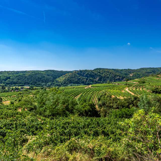 Wettervorhersagen mit schönen Fotos von Bluemoon