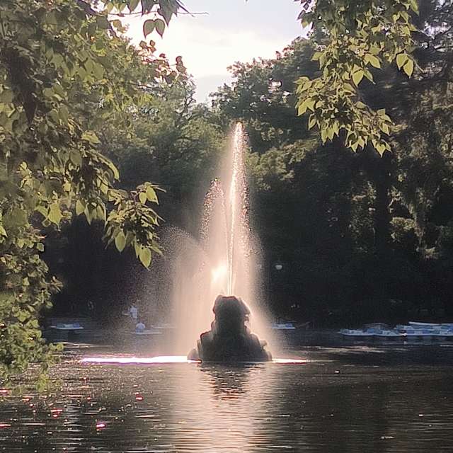 Fotos del Conduciendo. Pronósticos del tiempo con hermosas fotos de YanBog en București