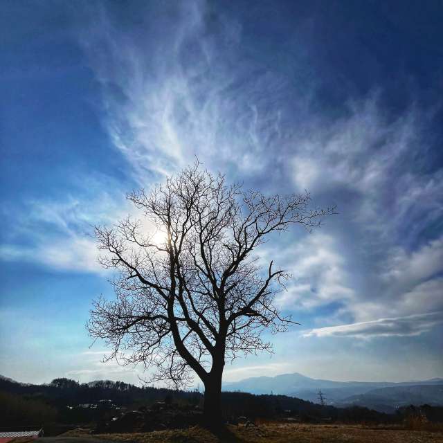 Прогнозы погоды с чудесными фотографиями, сделанными Kasumisou